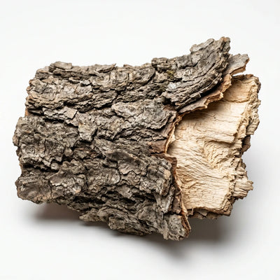 Magnolia Bark Extract