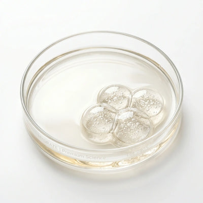 Vitamin B3 (Niacin)